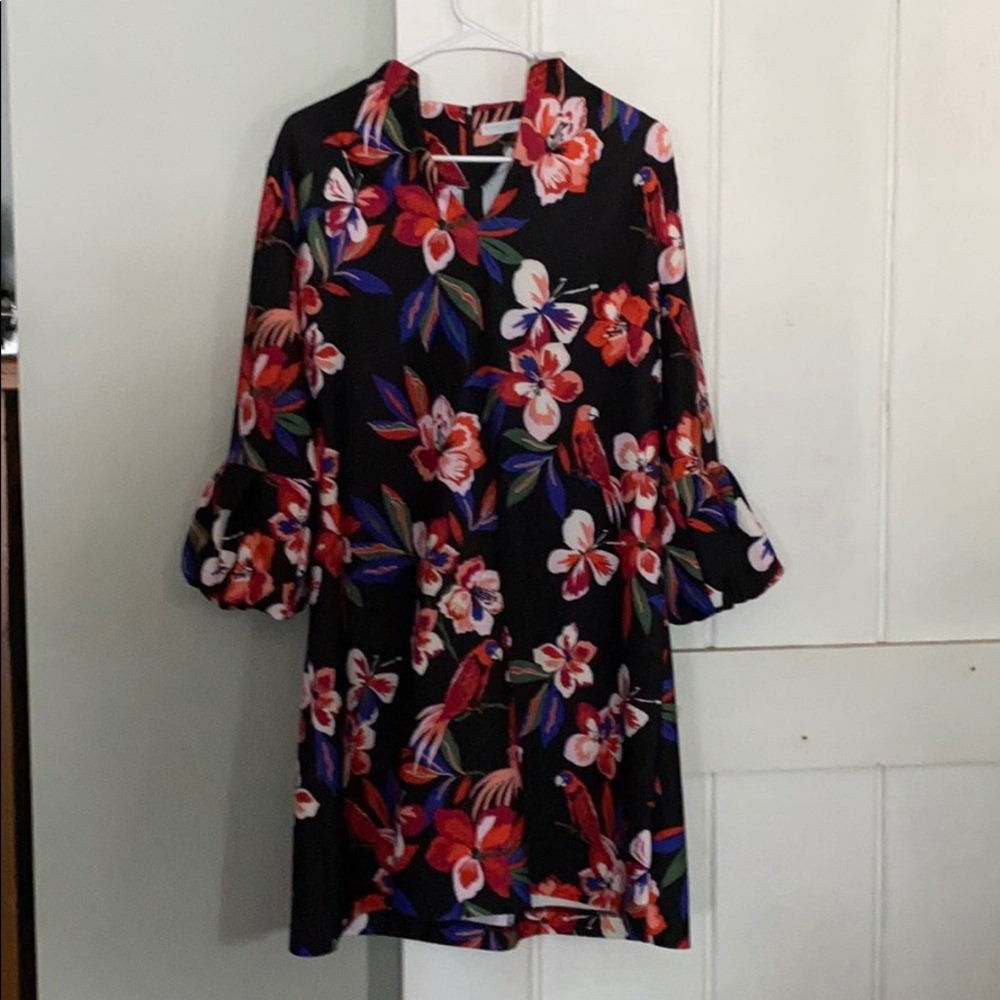 NY& company brand new